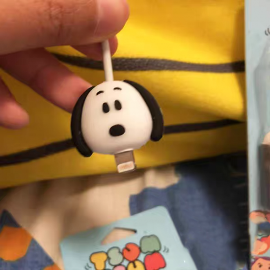 Charger accessories